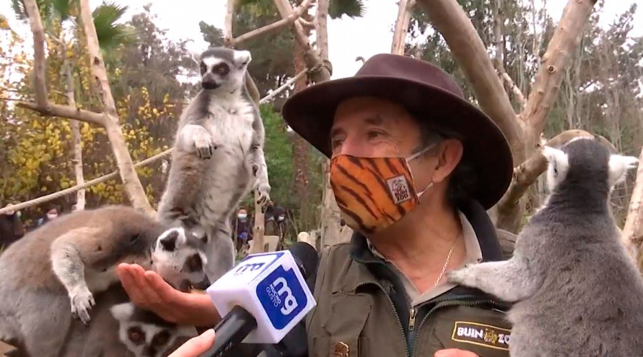 "Es parte de la historia del país": Director del Buin Zoo invita a visitar el parque durante las vacaciones