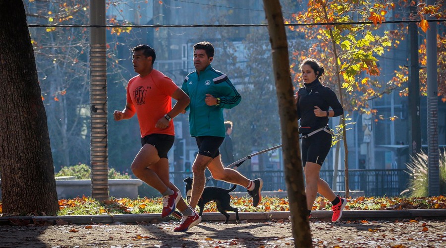 ¿Cómo funcionan gimnasios y otras actividades deportivas en Fase 3 de Preparación?