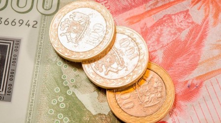 Revisa con tu RUT si estás entre los beneficiarios del pago adelantado del IFE de julio