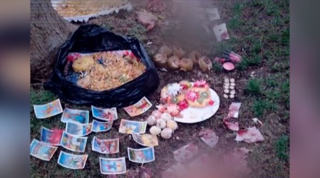 Vecinos de Ñuñoa y Quinta Normal preocupados: Hallan animales sacrificados en presuntos "ritos satánicos"