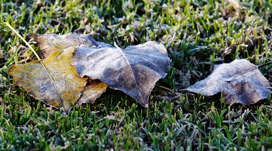 Alerta de heladas en 10 regiones: Temperaturas llegarán hasta los -4°C en algunas zonas del país