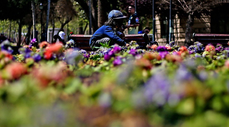 ¡Llega la primavera!: Revisa el pronóstico de las altas temperaturas para esta semana