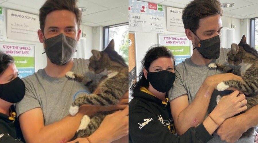 "Un sueño hecho realidad": Gatito logra reencontrarse con sus dueños tras pasar 10 años desaparecido
