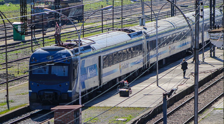 Desde el 12 de octubre se realizará el recorrido ferroviario entre Estación Central y San Fernando