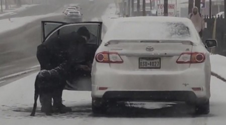 Perrito fue rescatado en medio de una tormenta de nieve