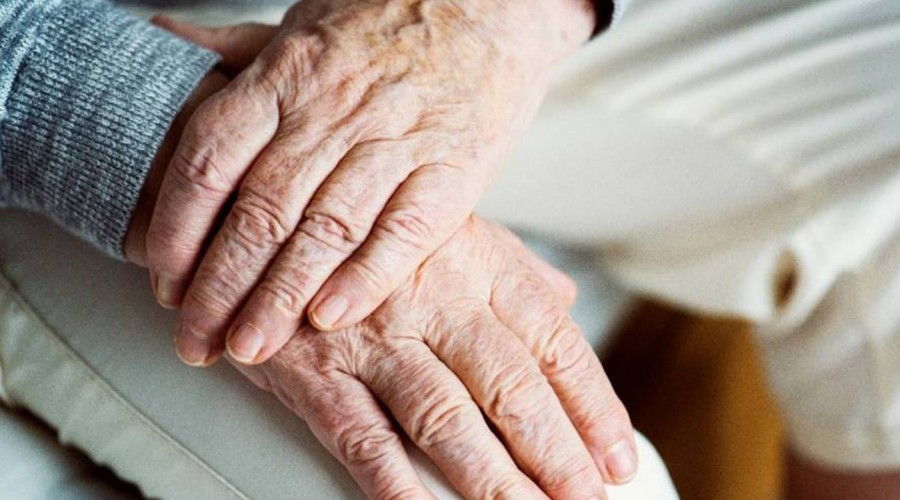 Proponen extender el IFE para el adulto mayor: Revisa quiénes podrían recibir más de $300 mil Proponen extender el IFE para el adulto mayor: Revisa quiénes podrían recibir más de $300 mil