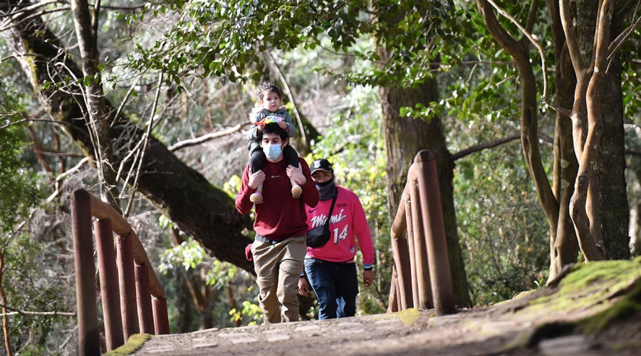 Bonos para familias: Entérate de cuáles son los beneficios que puede recibir tu hogar