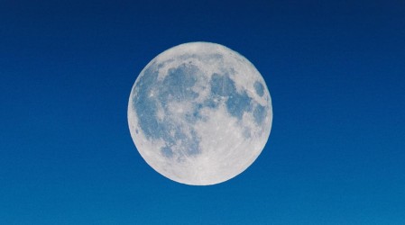 Te invitamos a conectar con la exótica infusión 'Bella Luna' en su edición especial de Navidad