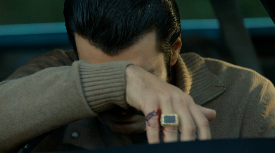 La gran pena de Demir - Capítulo 215 (parte 1)