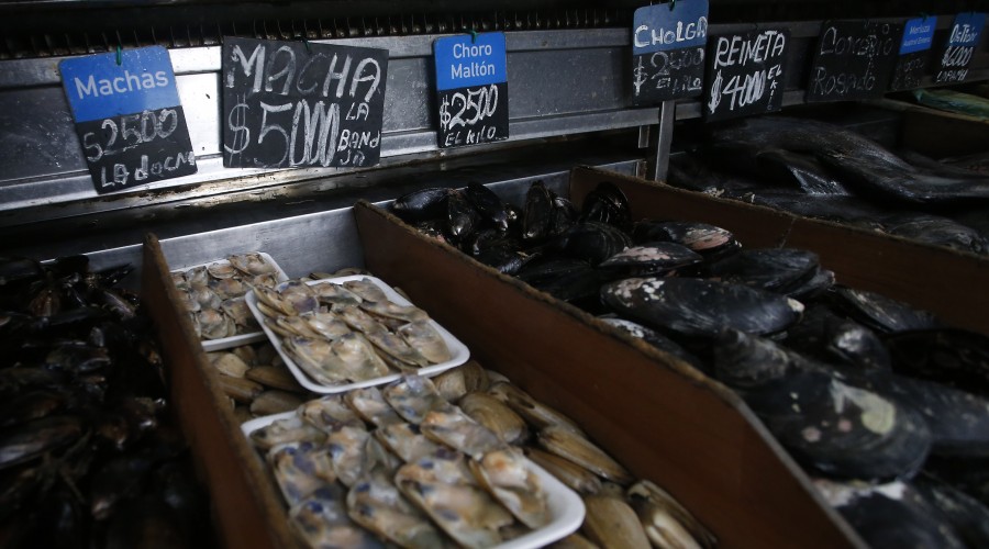 Marea roja: ¿Cuáles son los síntomas de esta intoxicación por mariscos?