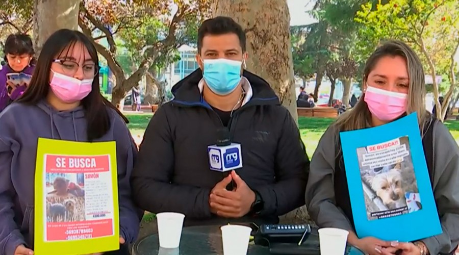 Robo de mascotas: José Antonio Neme recordó el traumático robo de sus perritos
