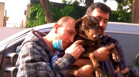 Redes sociales celebraron la búsqueda de perrita perdida tras accidente