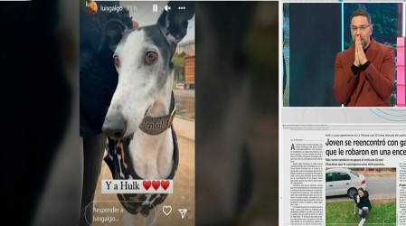 Joven recuperó a sus galgos que le robaron en encerrona