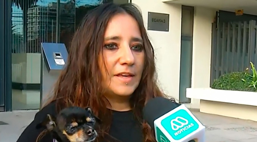 'Esa noche yo no fui la única': Dueña de mascota robada en La Reina entrega su testimonio