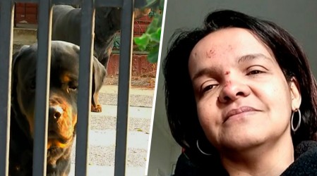 Niña atacada por perros rottweiler está fuera de riesgo vital: Cuidadora relató cómo la rescató