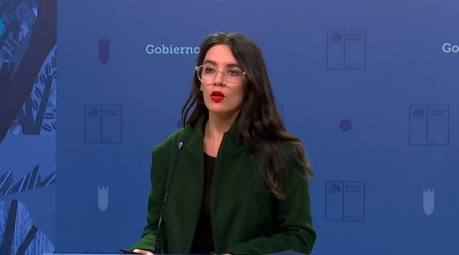 Vocera de Gobierno: 'Ministra Vega no fue instruída para hablar con Llaitul'