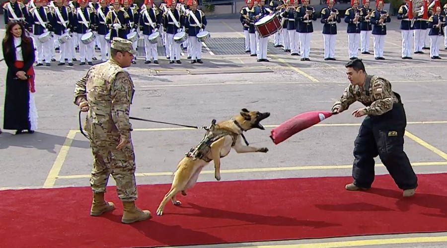 Revive la presentación de la Patrulla Canina durante la previa de la Parada Militar 2022
