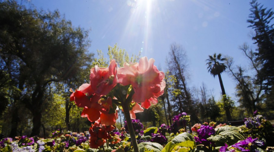 ¿Cuándo llega la primavera a nuestro país?