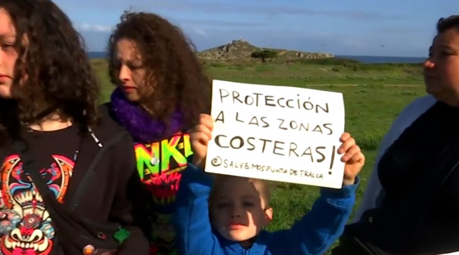 'Están matando la tierra': Vecinos de Punta de Tralca protegen zona rica en biodiversidad ante inmobiliaria