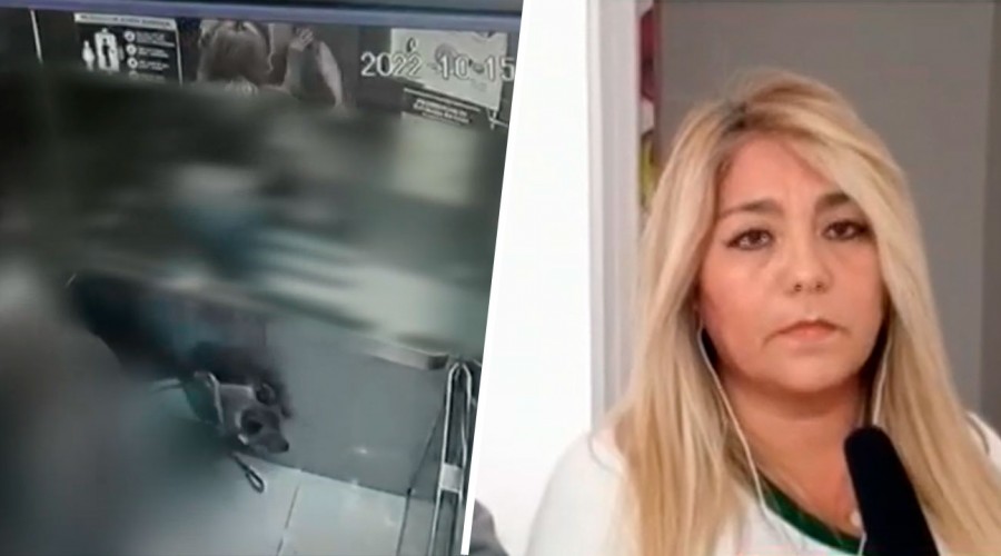 Una menor de edad estuvo involucrada: Cámara registra feroz pelea de perros en un ascensor de Iquique