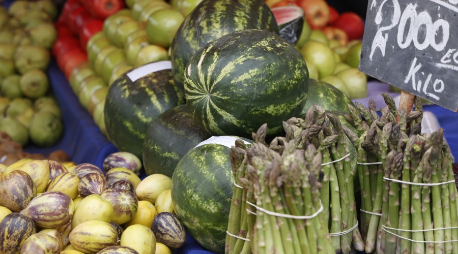 Esta semana comienzan los pagos del Subsidio Canasta Básica: Conoce a los nuevos beneficiarios