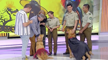 Carabineros explica en Mucho Gusto los cuidados que debe tener en Halloween