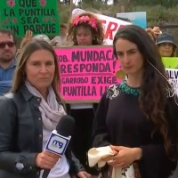 "Se están perdiendo las áreas verdes": Vecinos de Algarrobo en contra de construcción condominio