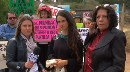 "Se están perdiendo las áreas verdes": Vecinos de Algarrobo en contra de construcción condominio