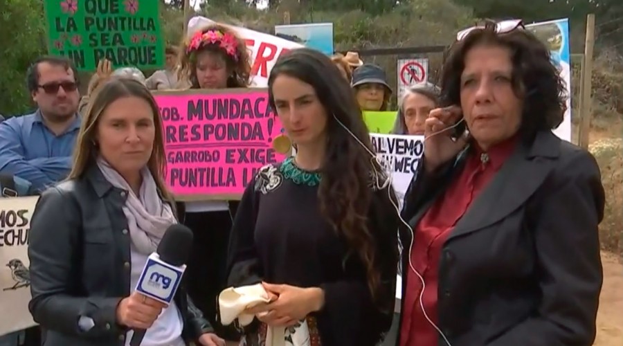 'Se están perdiendo las áreas verdes': Vecinos de Algarrobo en contra de construcción condominio