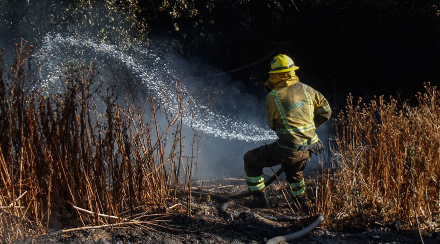 Tras incendio en Viña del Mar: Este es el listado de centros de acopio y albergues desplegados