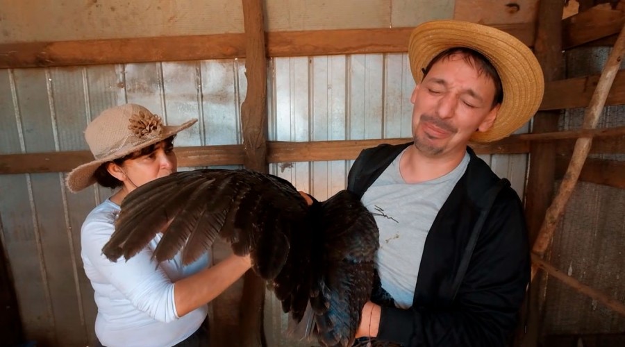 El versus de Rodrigo 'Gallina' con los pavos de corral