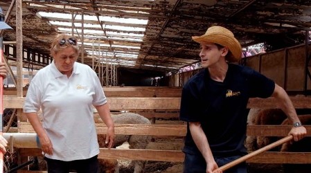 José Antonio Raffo se atrevió a cuidar alpacas 'En la Punta del Cerro'