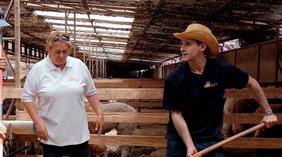 José Antonio Raffo se atrevió a cuidar alpacas en este divertido momento de 'En la Punta del Cerro'