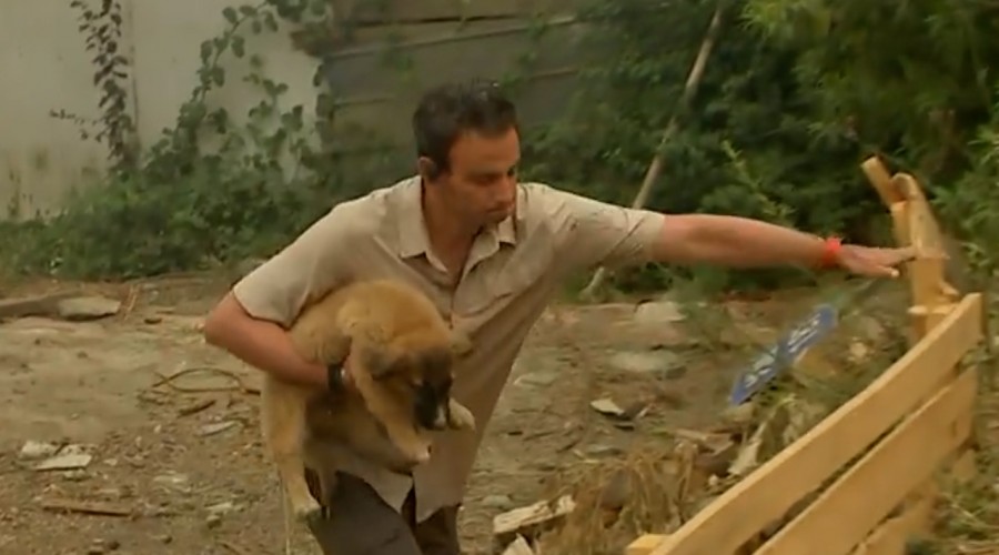 "Espérenme un poco": Gonzalo Ramírez rescató a un cachorro en pleno incendio en Tomé