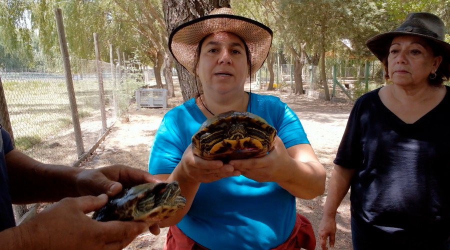 ¡La hermana Clara! Andrea Eltit se la juega por aprender distintos oficios en 'La Punta del Cerro'