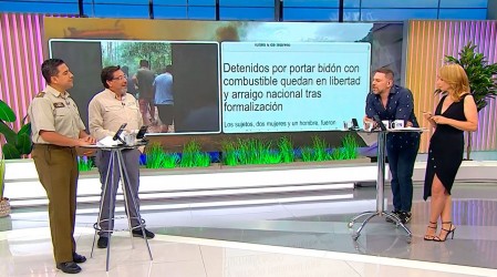 Teniente de Carabineros explica las diez detenciones por incendios forestales en el sur del país