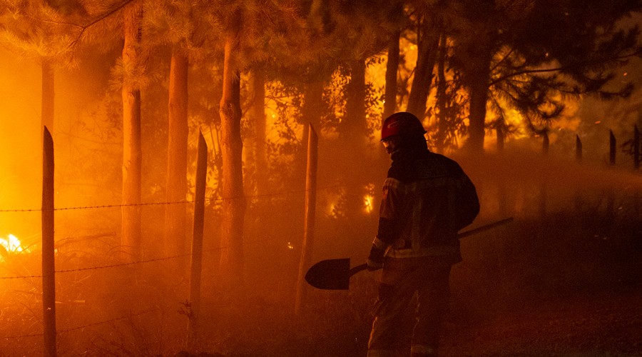 Anuncian Bono de Recuperación por incendios forestales de hasta $1.500.000 mil pesos