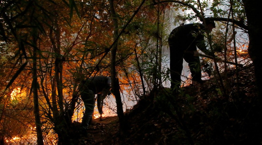 Toque de queda en zonas de incendio forestal: Conoce qué lugares y desde cuándo aplicarán la medida