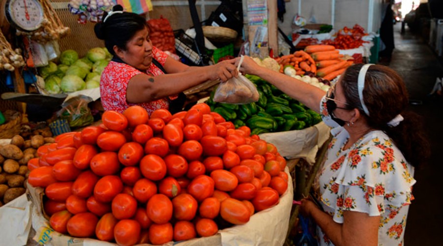 Aporte Canasta Básica de $14.170: Consulta con tu RUT si recibirás el pago de febrero