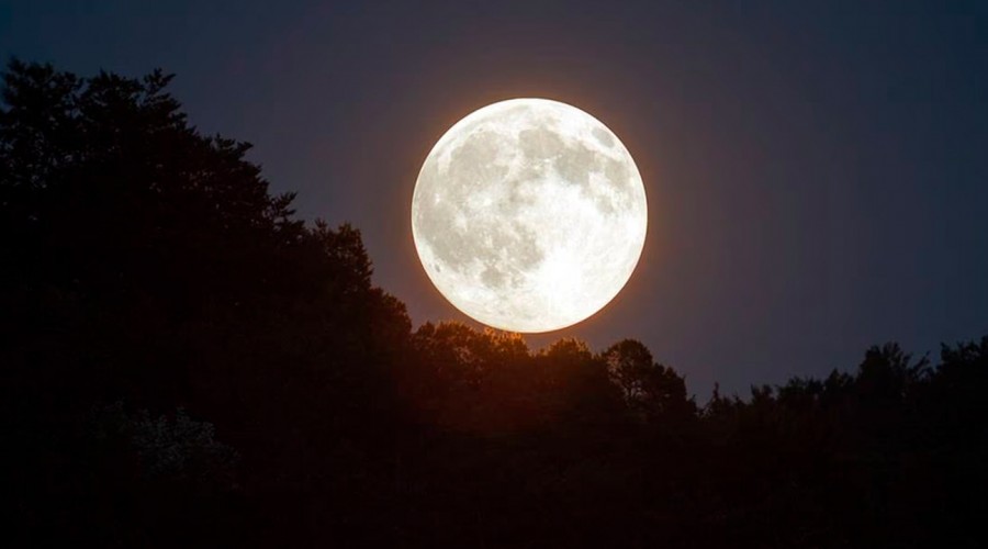 ¿Qué es la Luna de Gusano y desde cuándo se podrá ver en Chile?