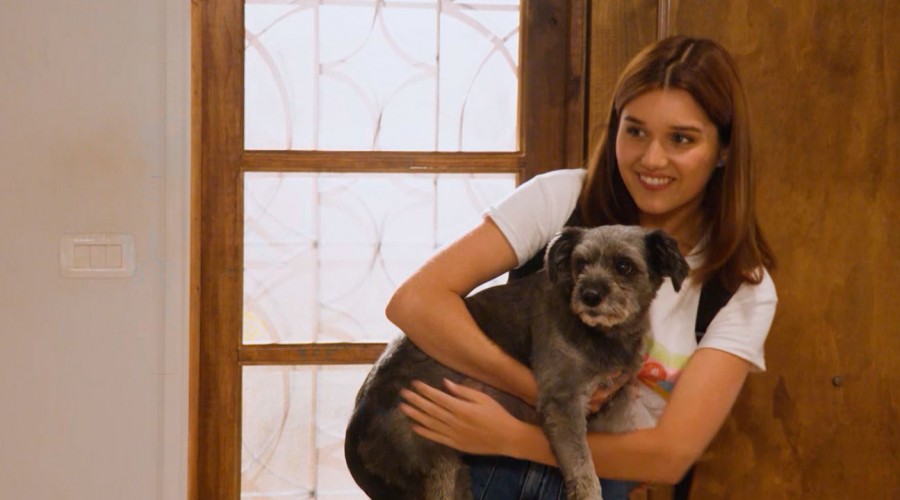 'El mejor personaje': Perrito adoptado de Javiera se ganó el cariño de los fans de Juego de Ilusiones