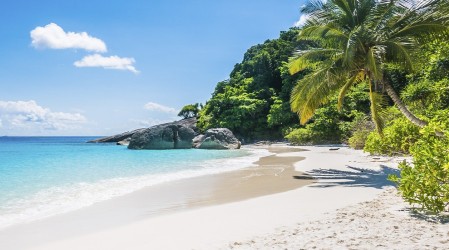 ¿Quieres viajar? Sé parte de un nuevo Live Shopping by Mega junto a Viajes Falabella con grandes descuentos