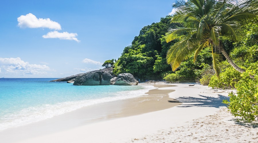 ¿Quieres viajar? Sé parte de un nuevo Live Shopping by Mega junto a Viajes Falabella con grandes descuentos