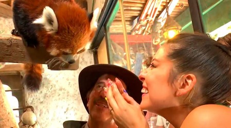 Karla Constant y Cote Quintanilla descubren su lado salvaje en el Buin Zoo