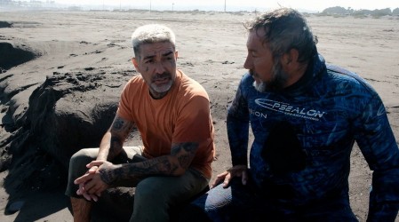 ¡Dj Méndez nadó con tiburones en 'A la Punta del Cerro'!