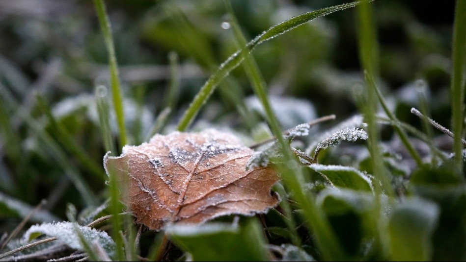 Comienzan las bajas temperaturas: ¿Cuándo empieza el invierno este año?