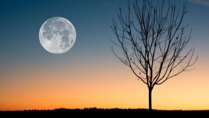 Superluna de ciervo 2023?: Rituales para atraer abundancia y depurar las energías