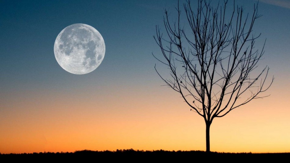 ¿De qué se trata la superluna de ciervo 2023?: Rituales para atraer abundancia y depurar las energías