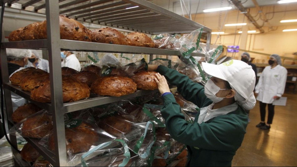 Hasta $570 mil: Conoce cuándo pagan y quiénes reciben el monto anual del Bono al Trabajo de la Mujer