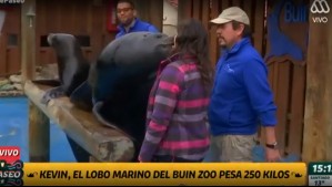 Coté Quintanilla 'enamorada': Fue besada por un lobo marino en De Paseo